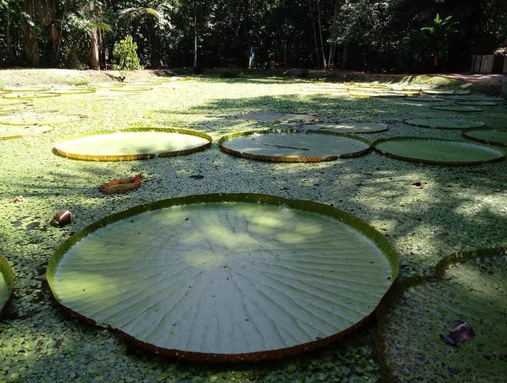 103502990_3556725051009863_446928202008607386_o-1024x774